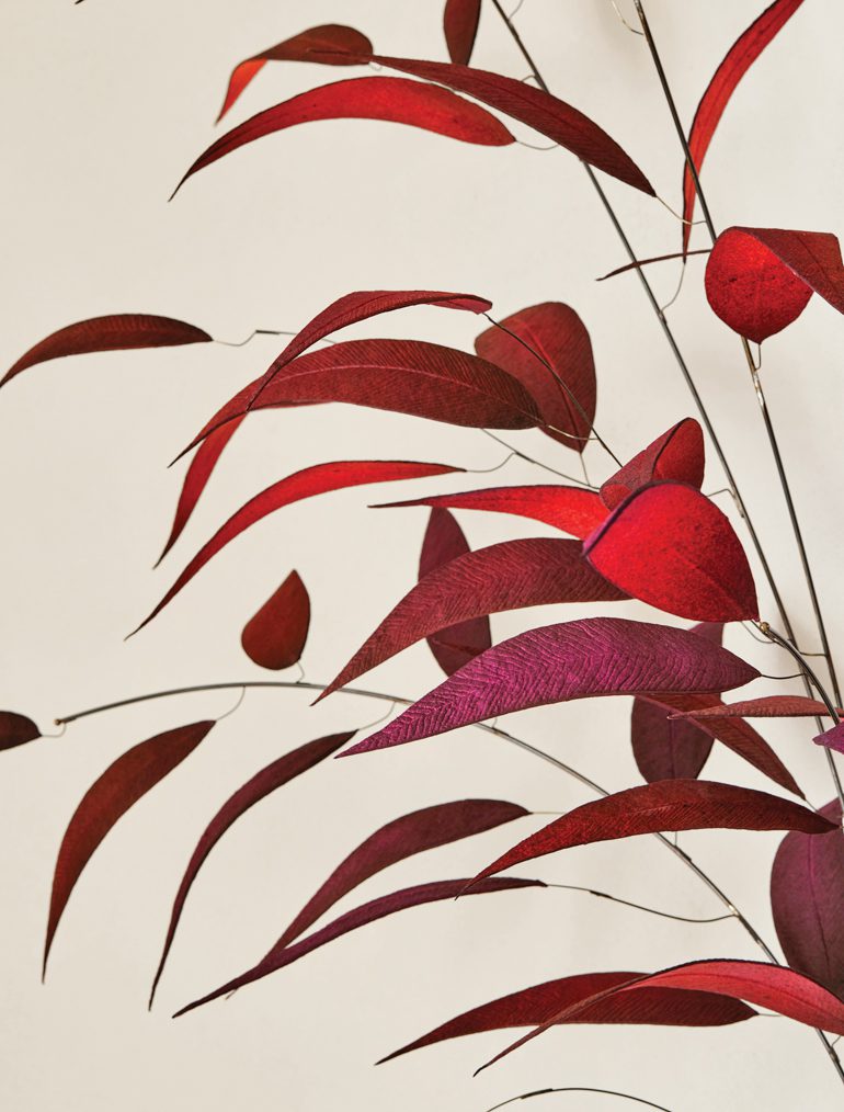 Jean PelleLure Radiata详解