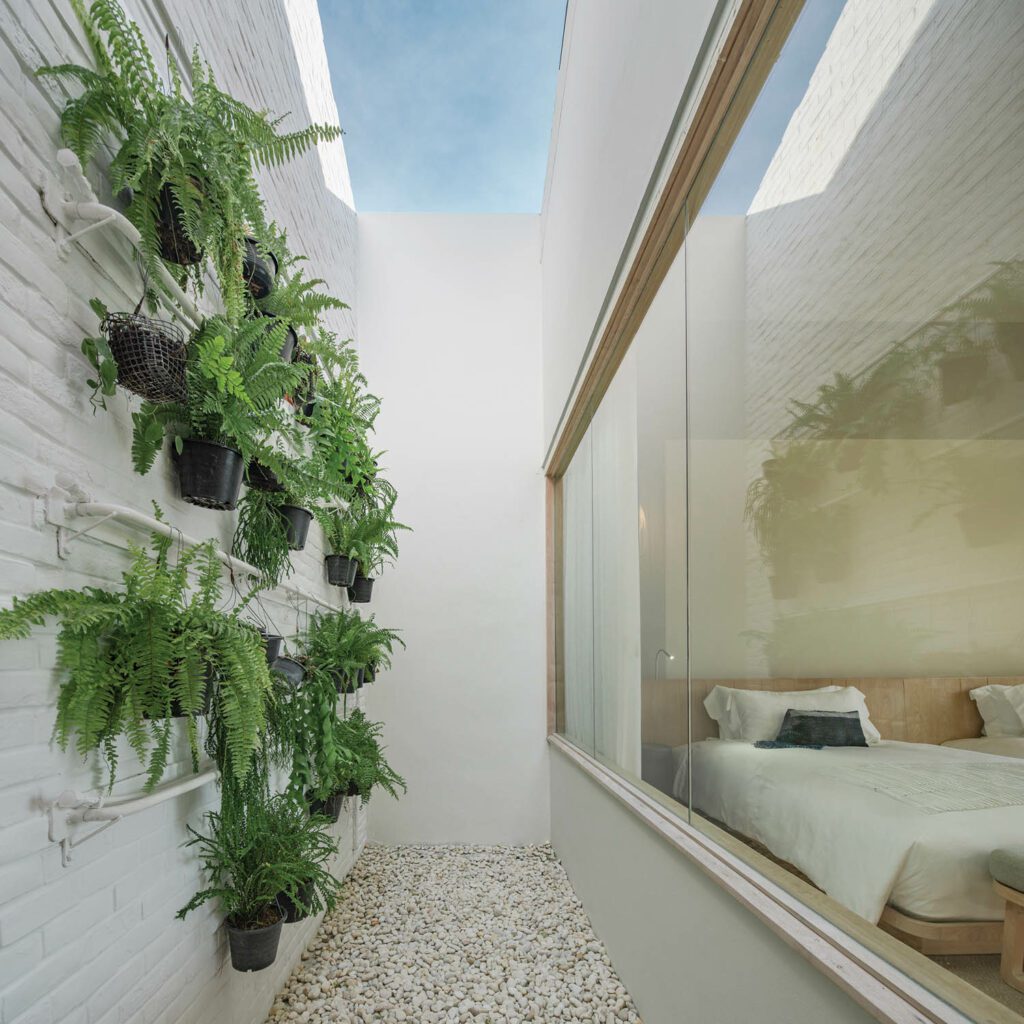 卧室向庭院看绿墙