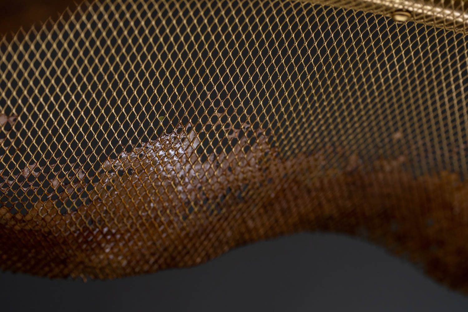 封装由发酵细菌制成的天花板光