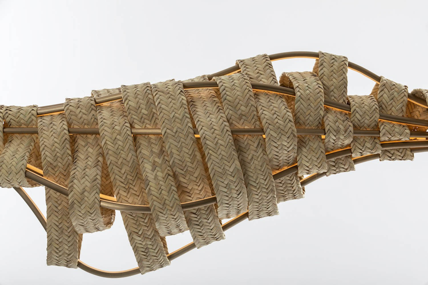 笔光由棕榈编织