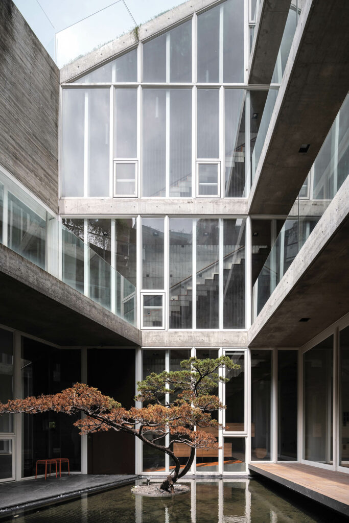 雕刻松树 池塘中心