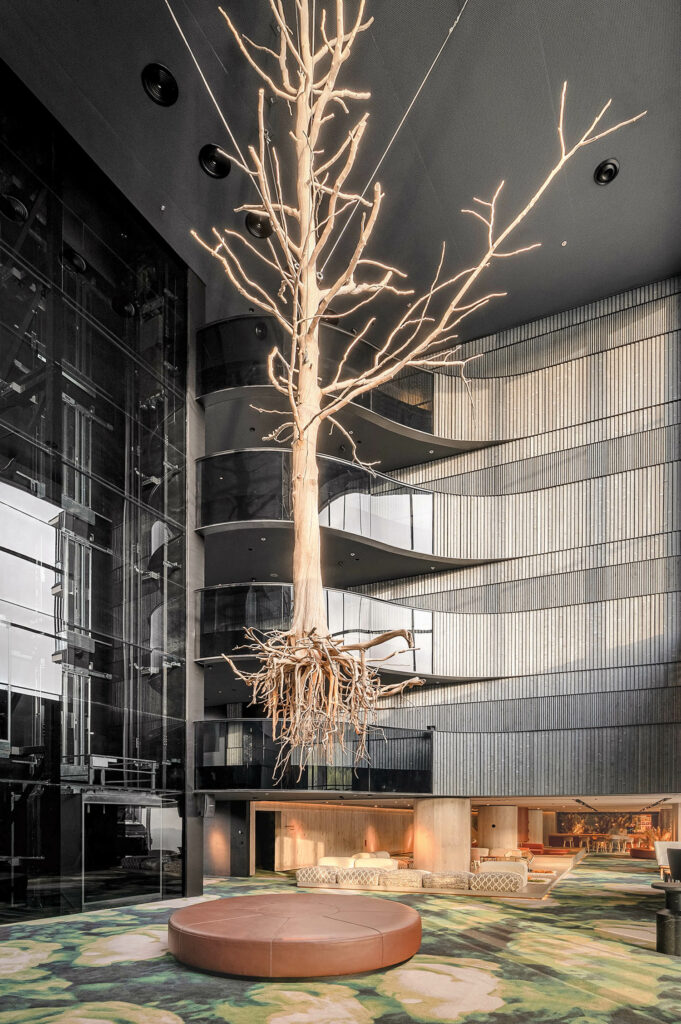 树从乌克兰Emily酒店天花板浮出