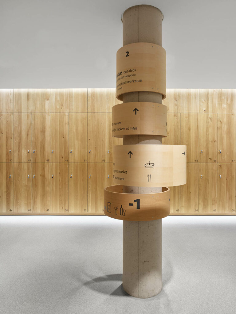 橡木板环指针拉普兹尔世界