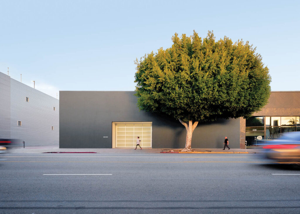 yabo app罗伯茨项目旁听室外的ficus树