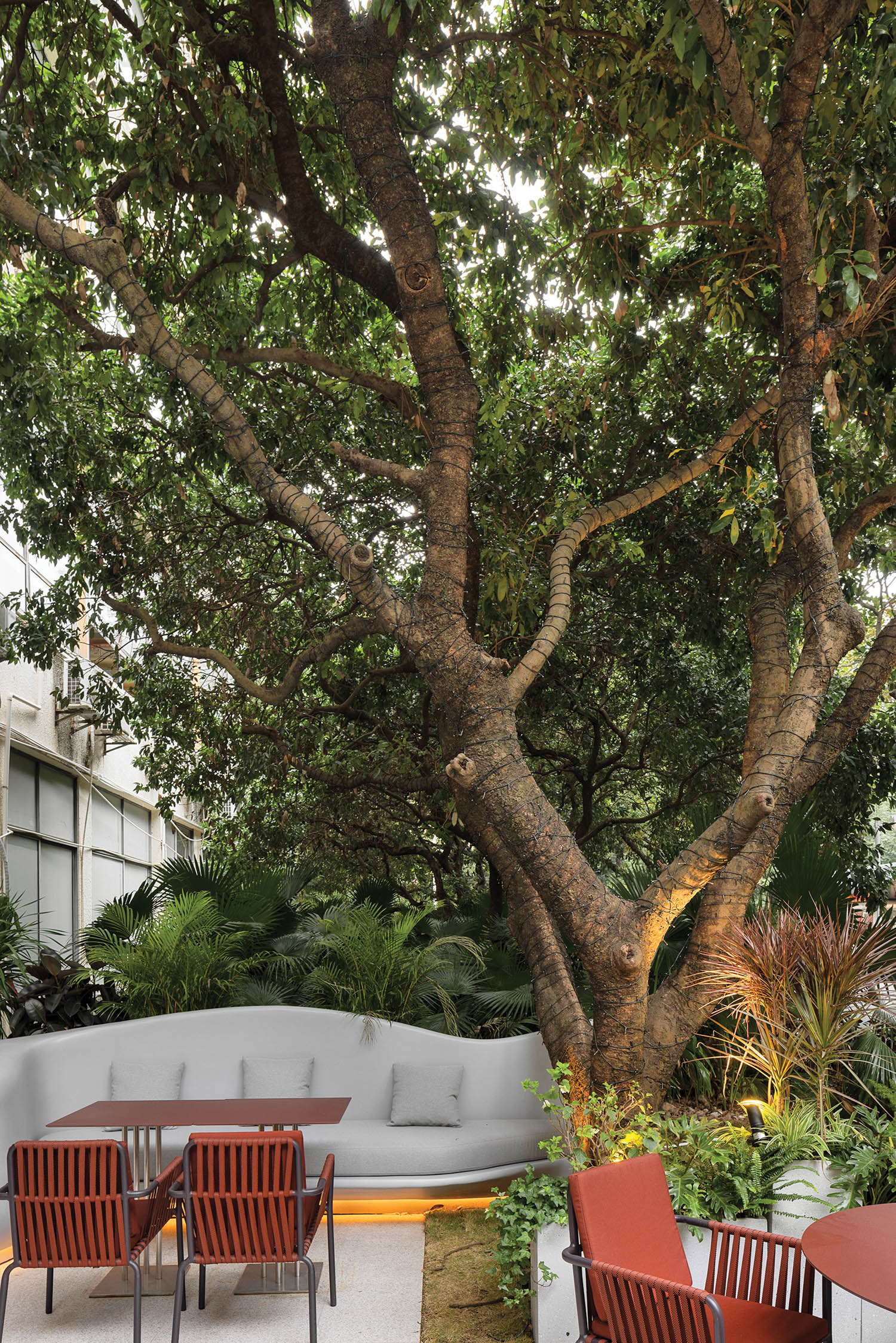 大树中国咖啡馆/威士忌吧