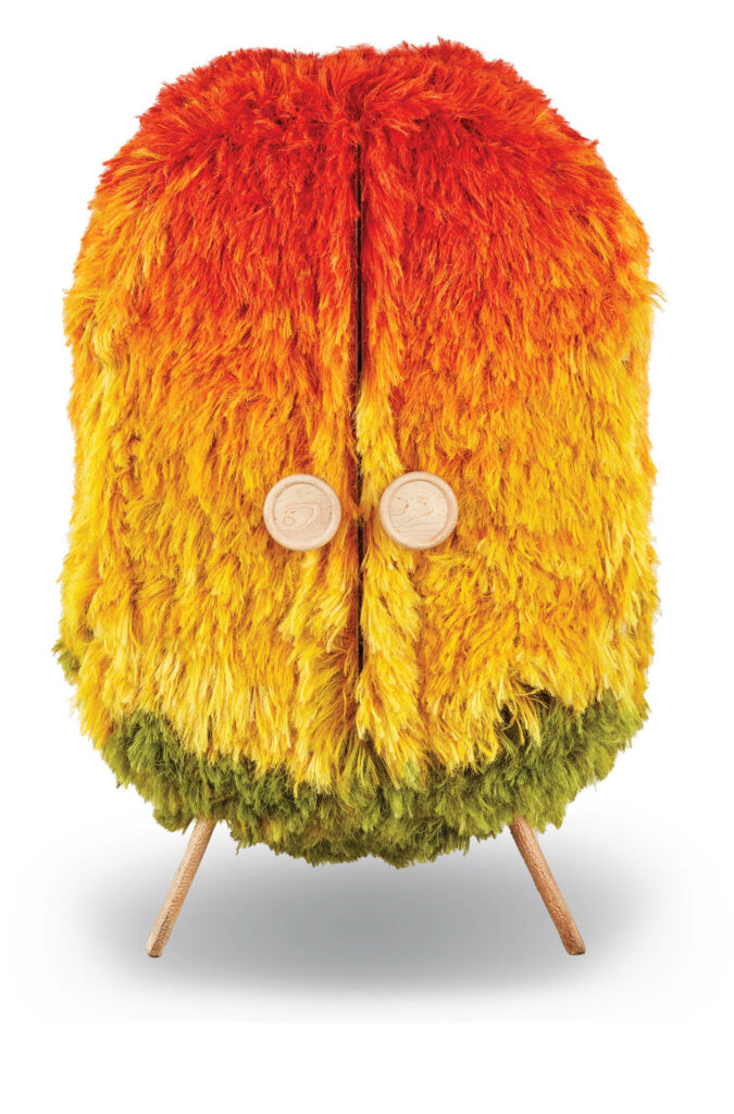 爱鸟柜 Fernando Laposse