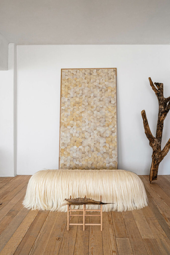 由Fernando Laposse面板全尺寸狗板背景