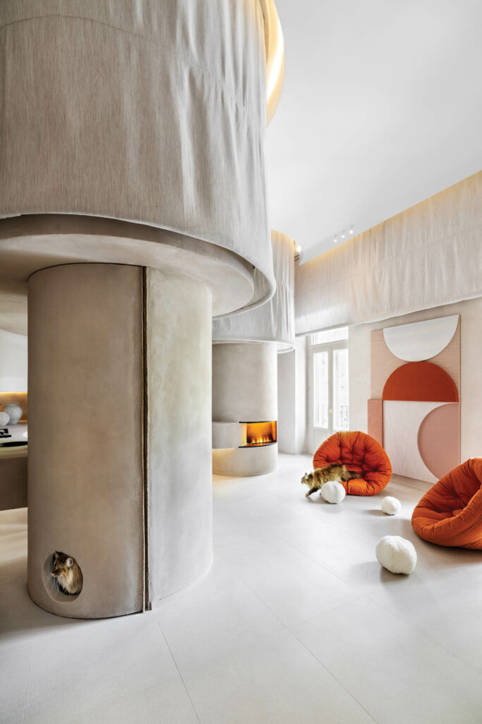 猫爬上橙色+h轮椅