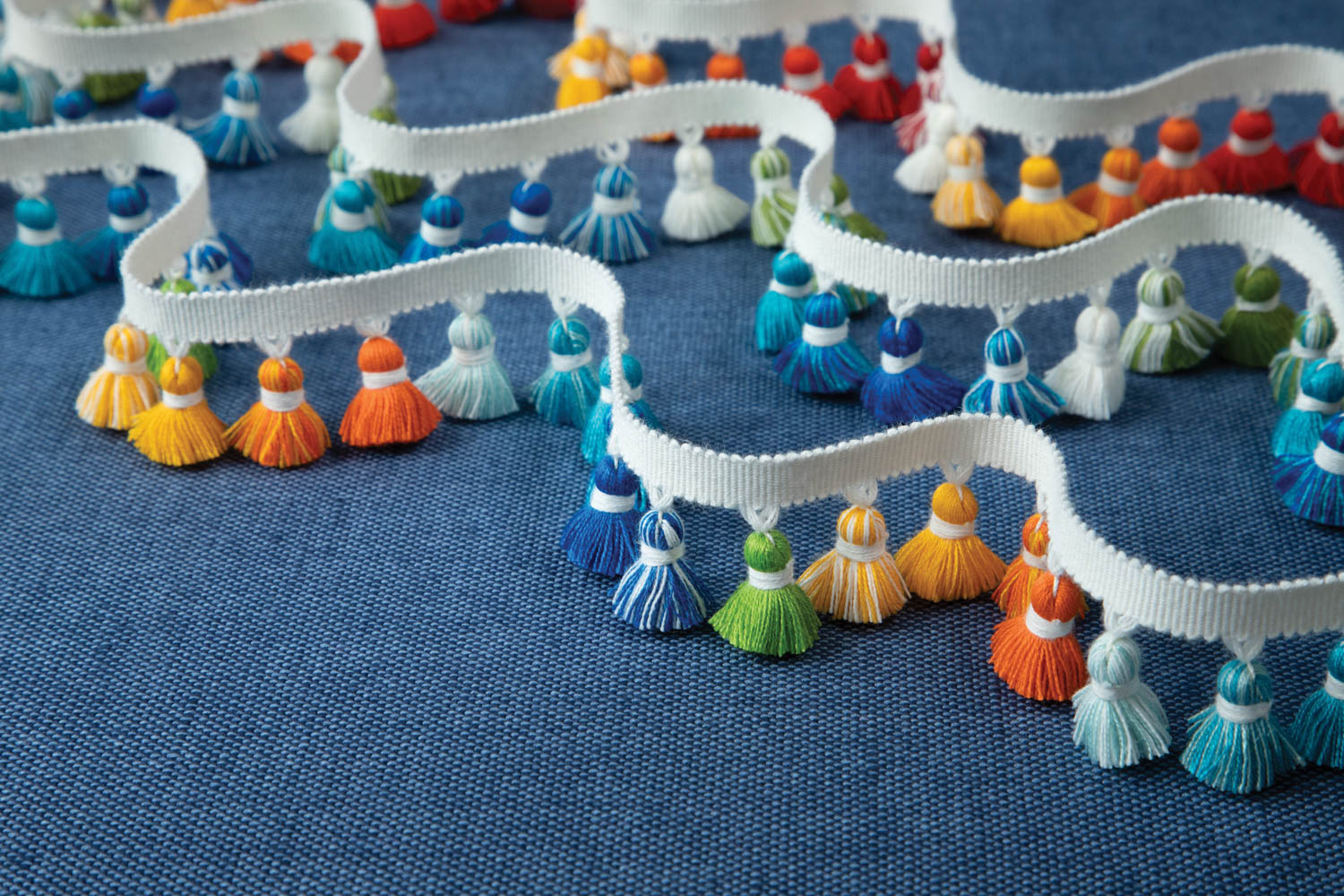 LagunataselFringe海洋集合