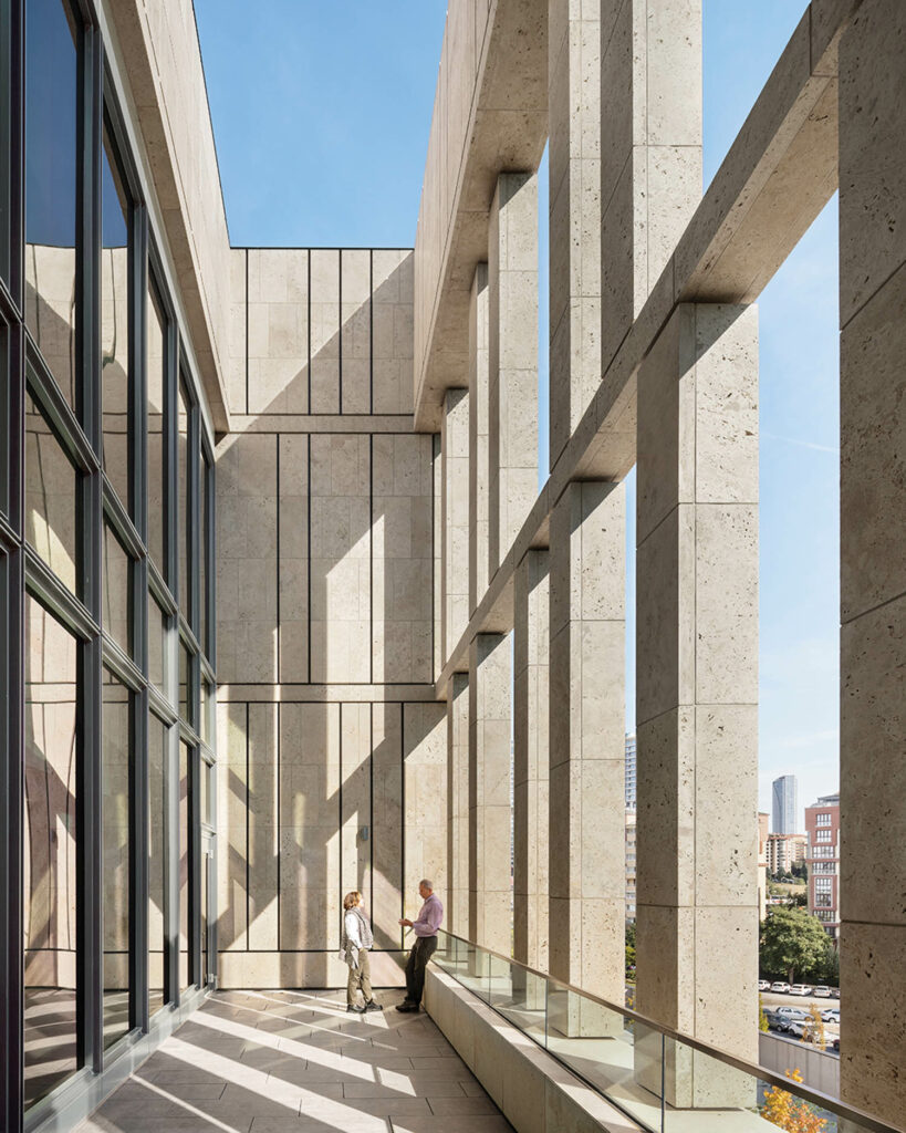 阳光冲进大使馆院