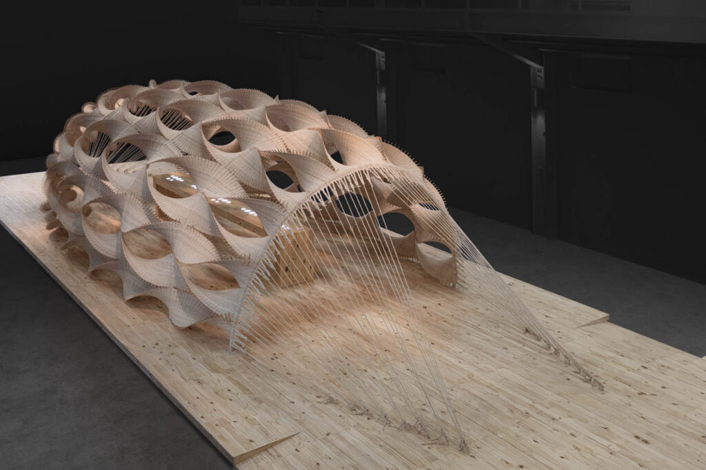 生物生物雕刻薄带