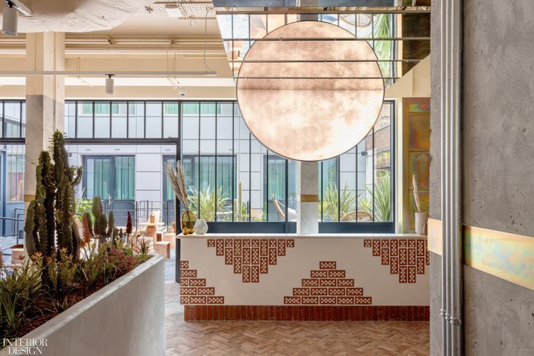 由Holloway Li酒店cacti环绕的接待台