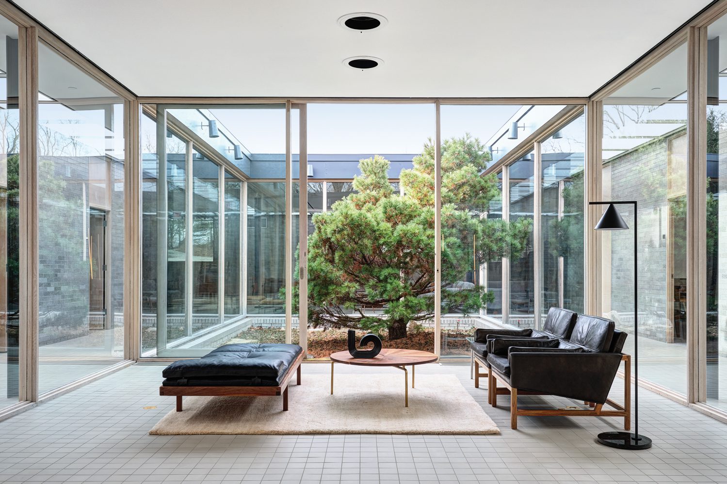 最近在露天院子里种植的日本矮白松树,它与Wood框架休息椅相邻会议室照片由Michael Biondo提供