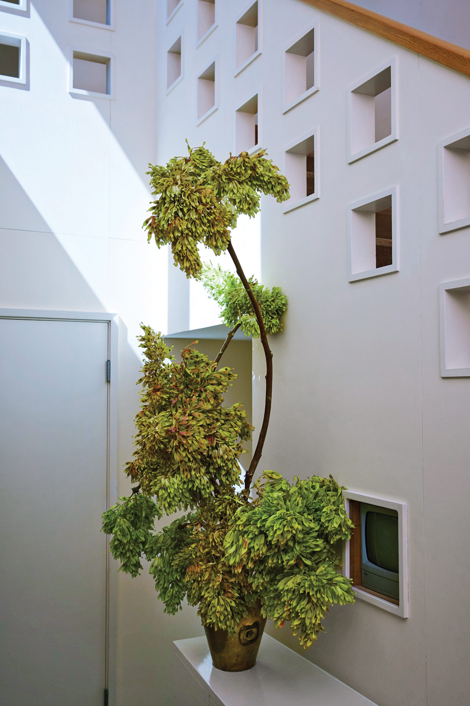 楼梯桶标有孔径,原创50年代