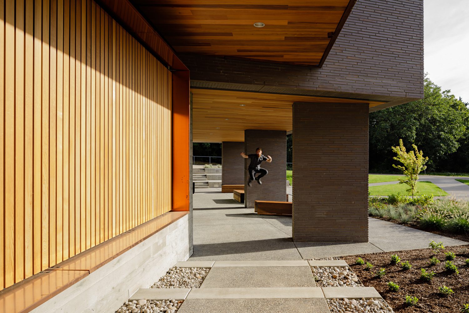 设计Biz和BraulioBaptista