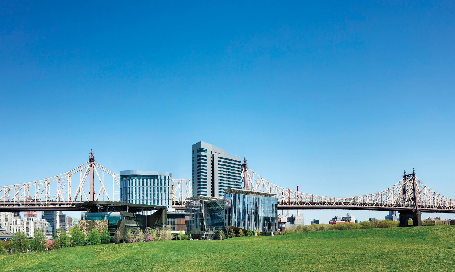 毕业生罗斯福岛 Snøhetta和Stonehill Taylor