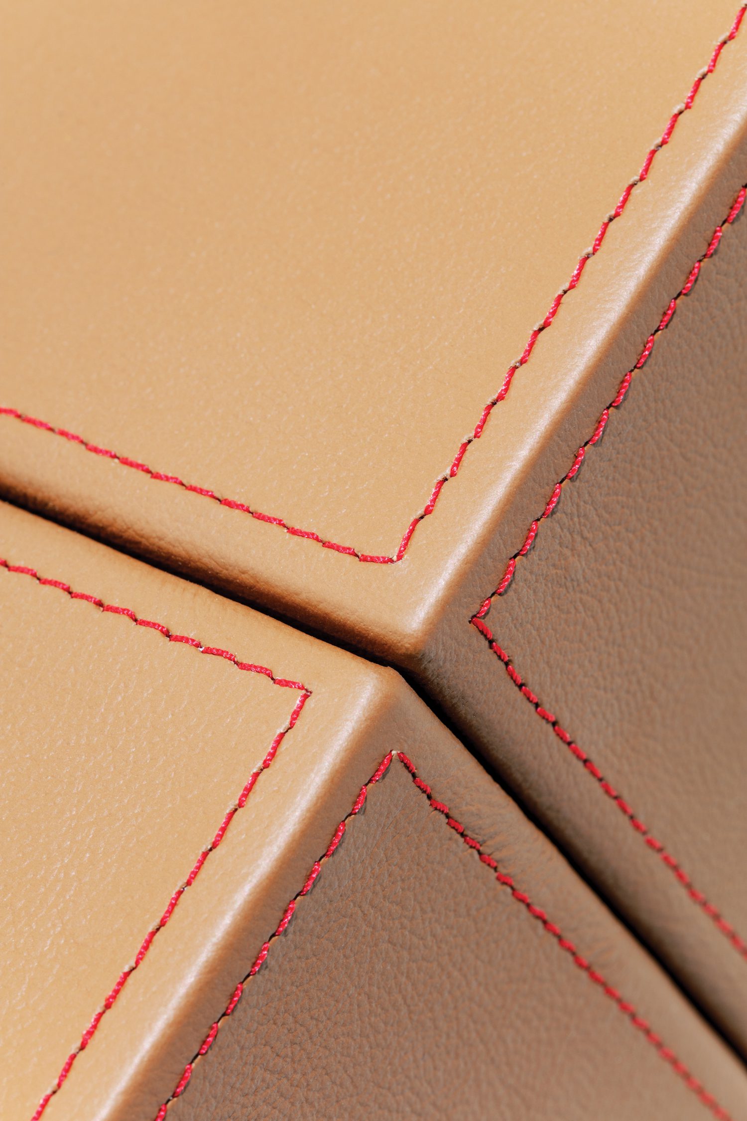 寄存台皮层详解