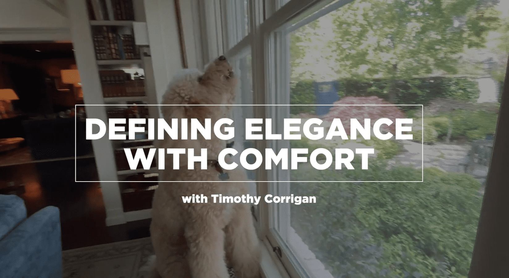 内设计TimothyCorrigan