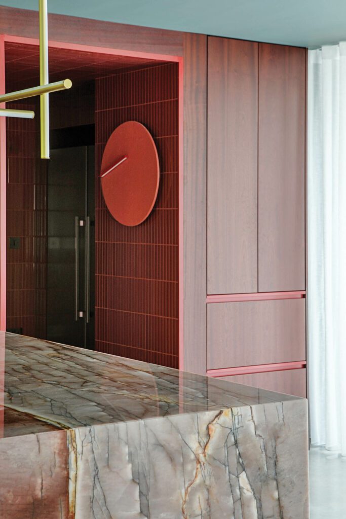 另一台DeboQQNademeo解析挂在连接厨房到入口大厅门厅的网门-网格墙上