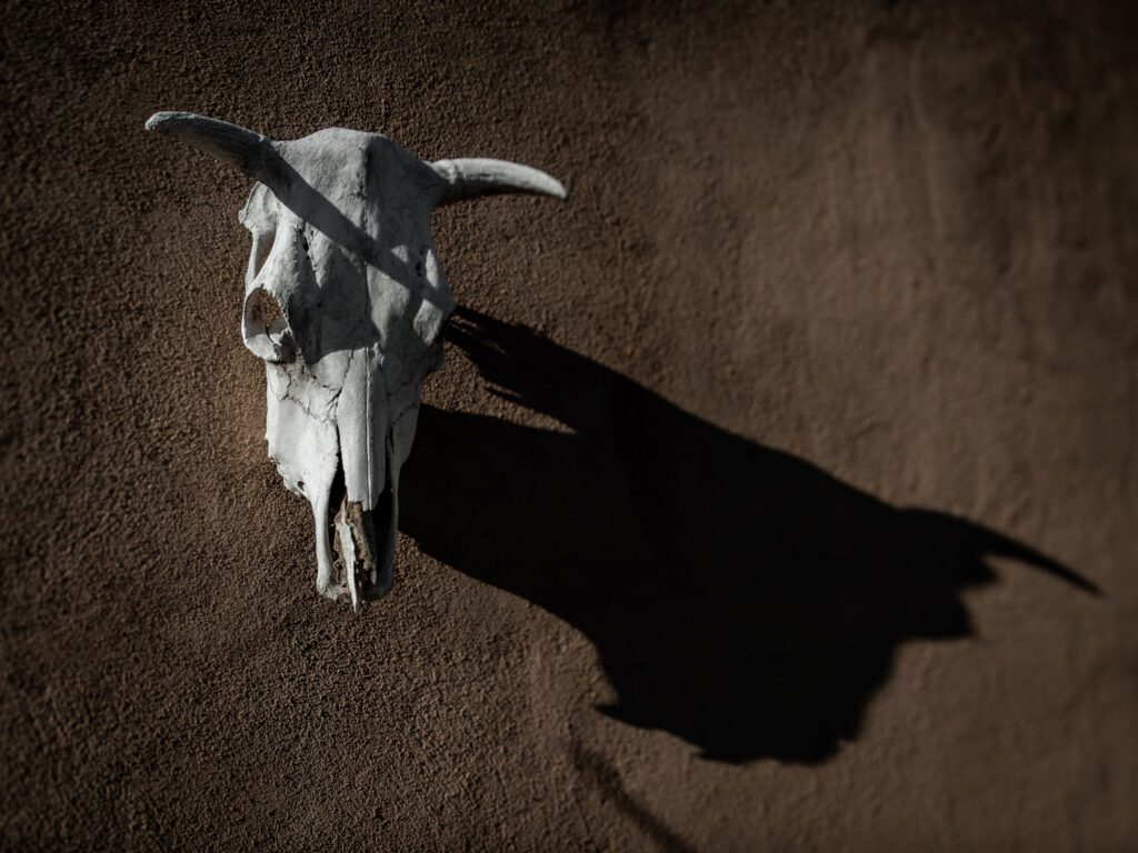 照片由Jean-GabrielNeokomm制作