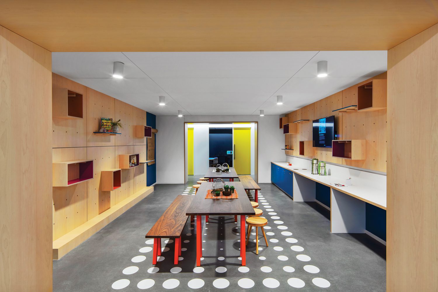 协同制作室的birch-plywork像大绑板允许装箱和架架的灵活性