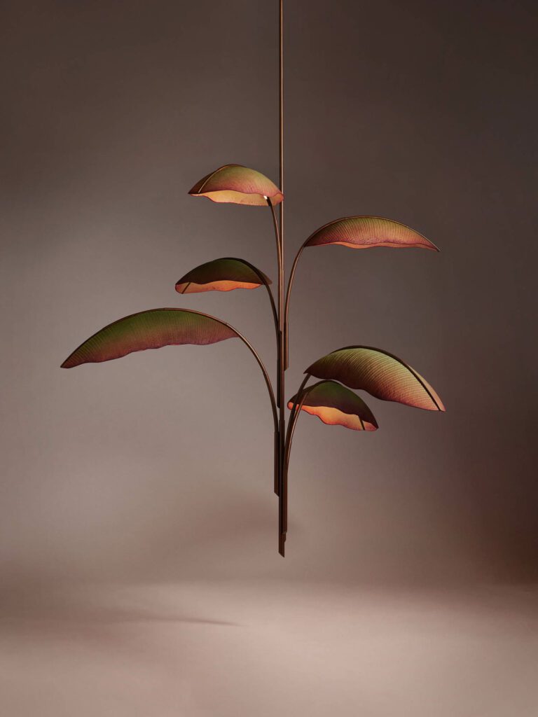 纳纳路切德利埃 PELLE照片由Daniel Seung提供