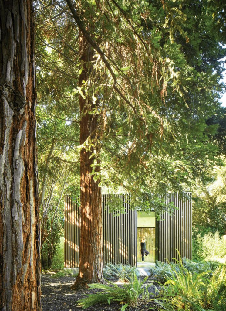 Feldman架构Thuilot关联