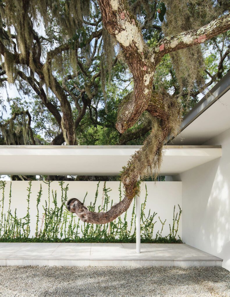 yabovip下载Steven Harris架构师Jessica Helgerson内部设计