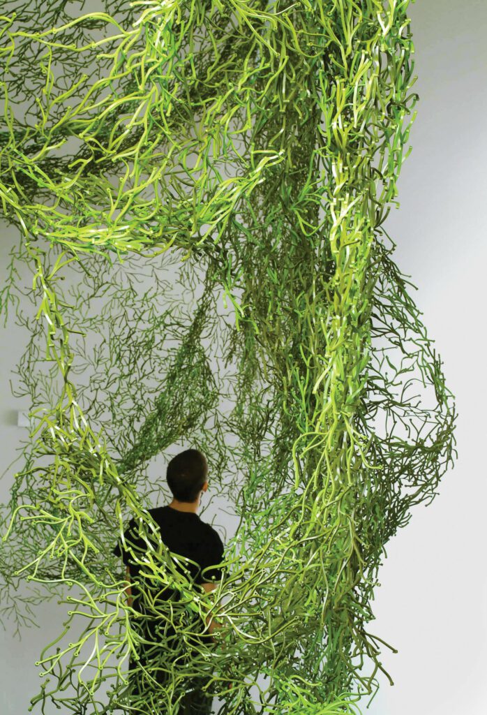 绿色 weblike结构