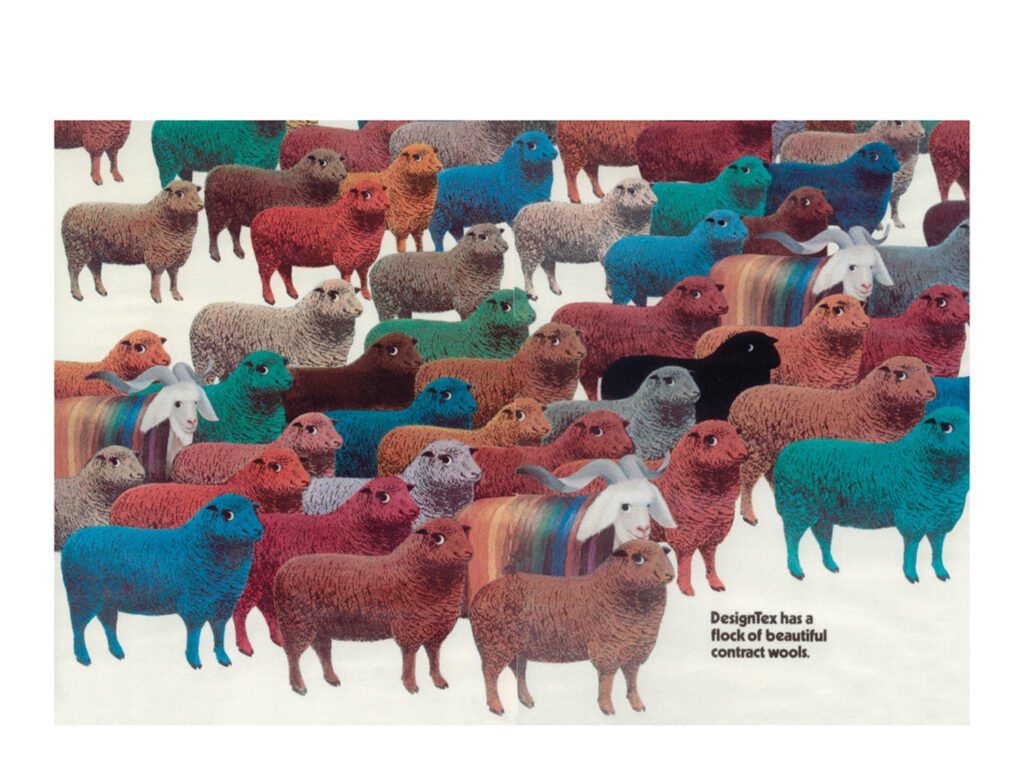 设计图ad与多色绵羊