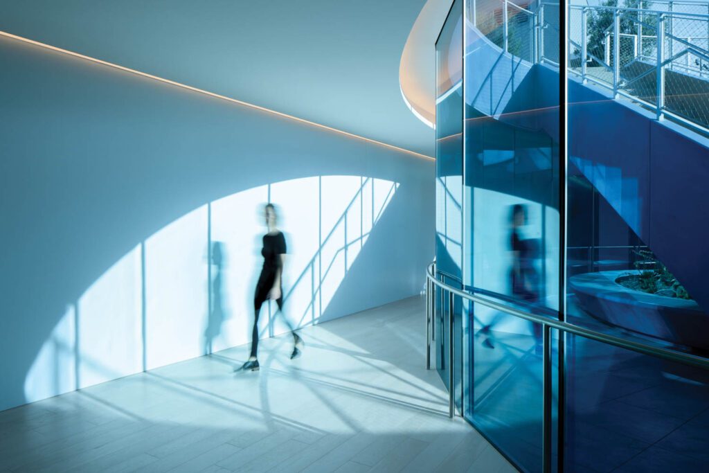 一条走廊蛇环绕沉睡花园