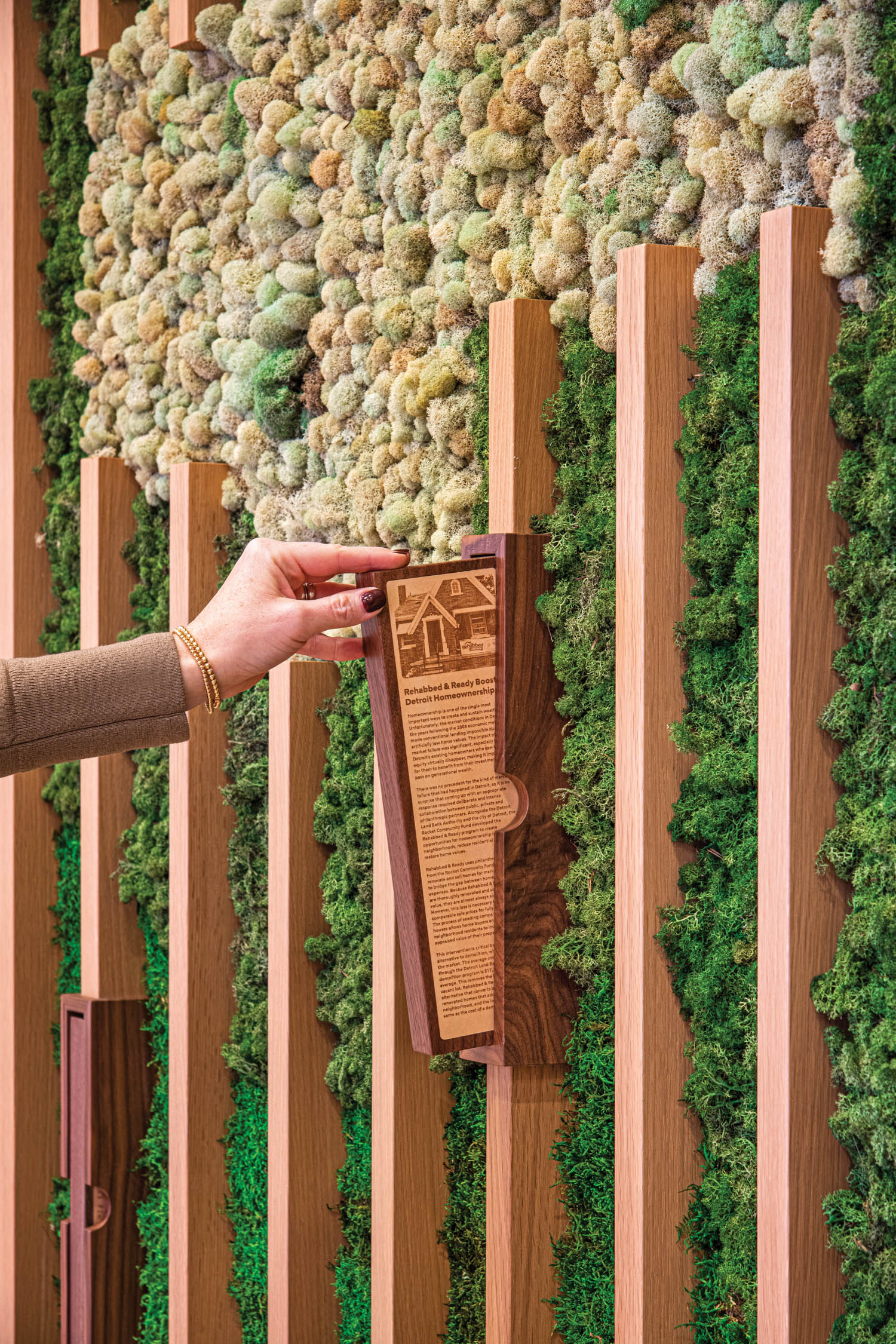 博弈画廊里用激光刻画故事 描述本地原因Dan和JenniferGilbert支持滑出保苔墙