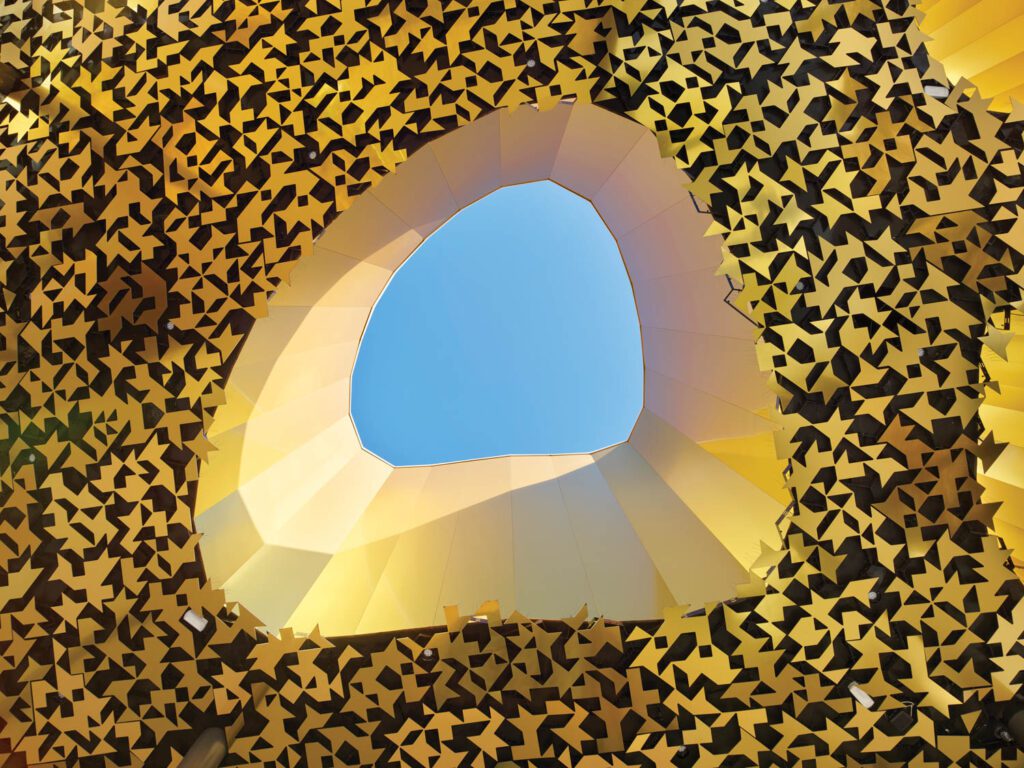 房顶孔径近100孔径之一允许光击内部仿佛森林底