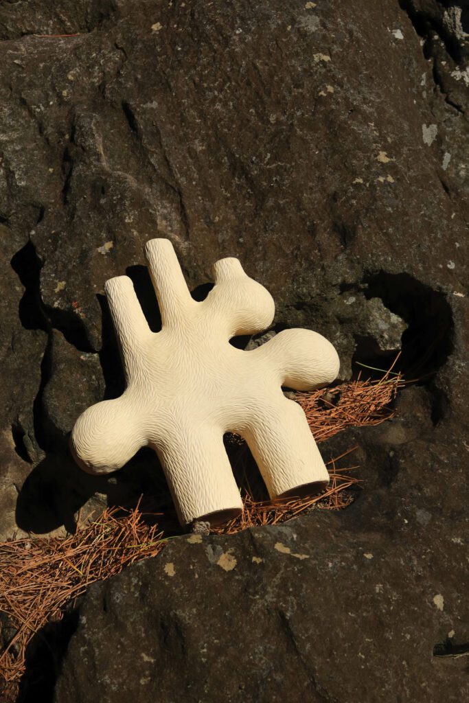 ForestCanderbra03白石器由Jan Ernst通过Galerie Revel