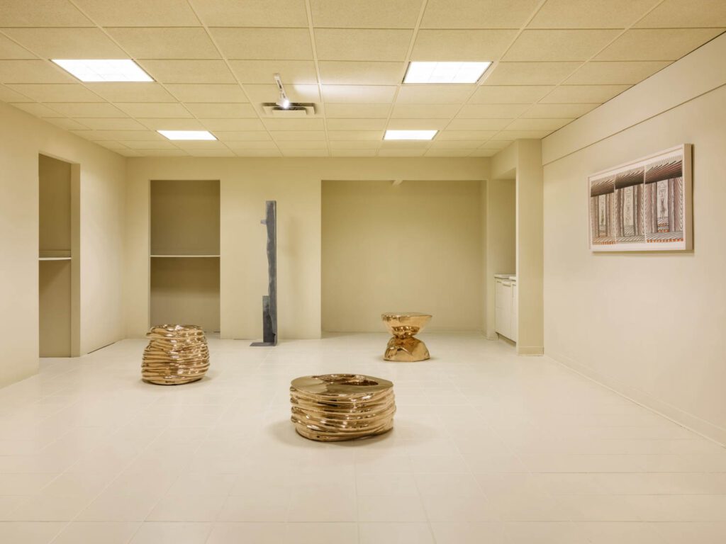 Alma Allen生物形态铜片