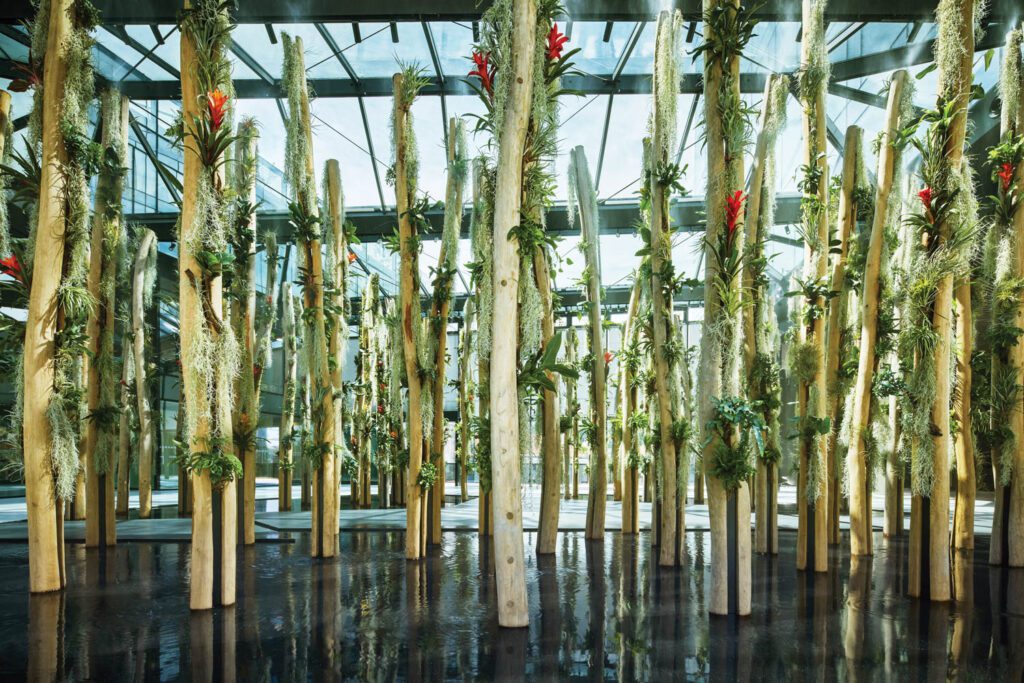 aca-wood柱子覆盖苔树兰花和其他顺从植物组成最大大厅内安装
