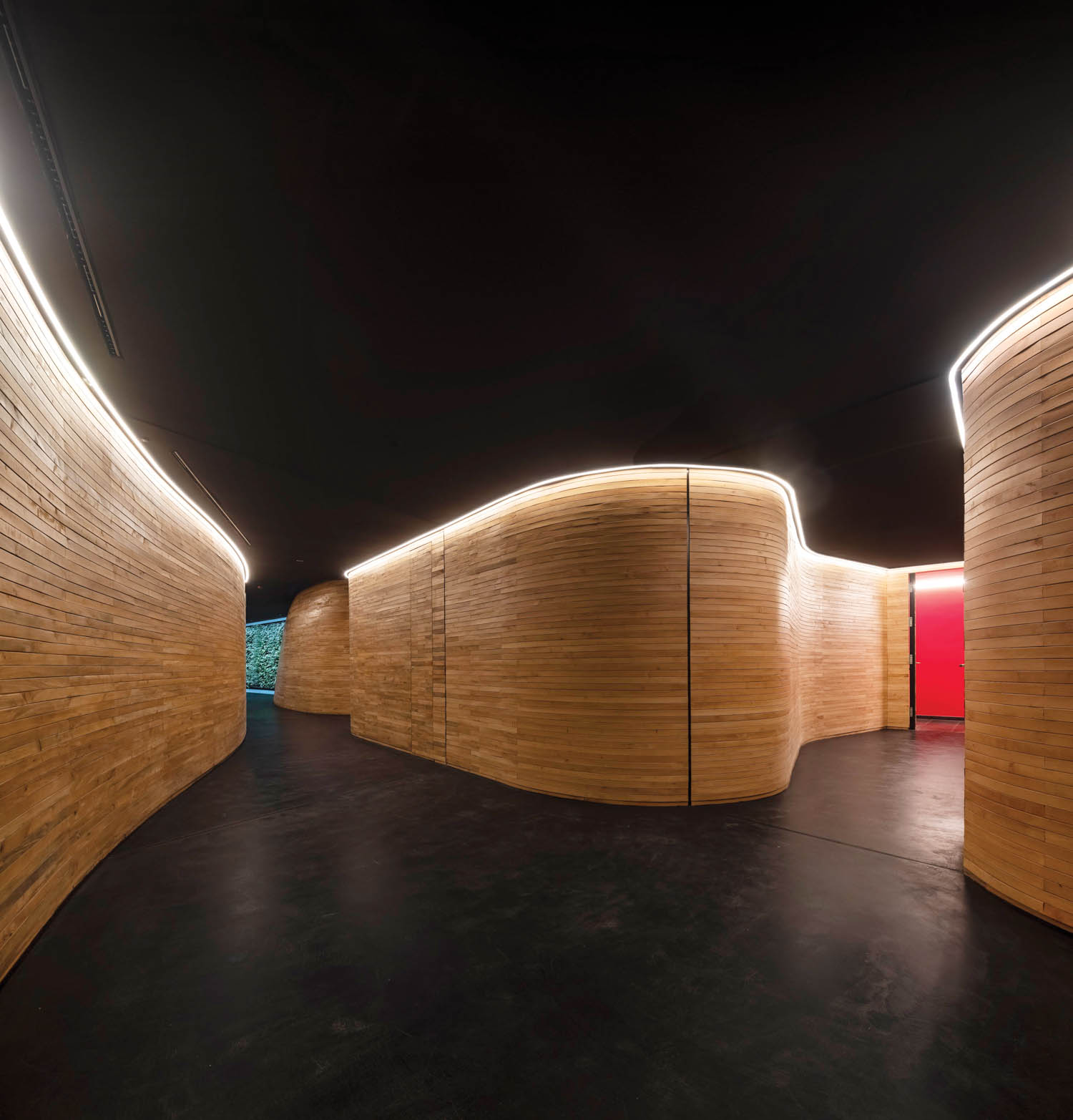 松散代数墙定义楼下健康区