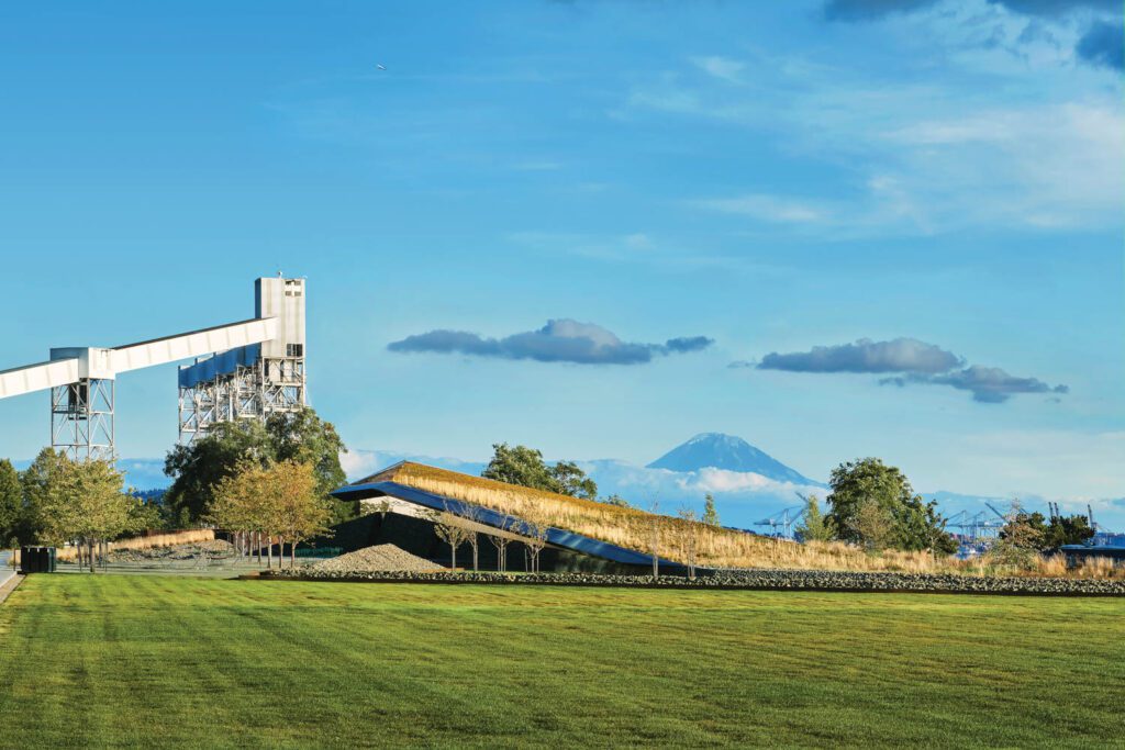 雷尼尔山距离房顶草坪