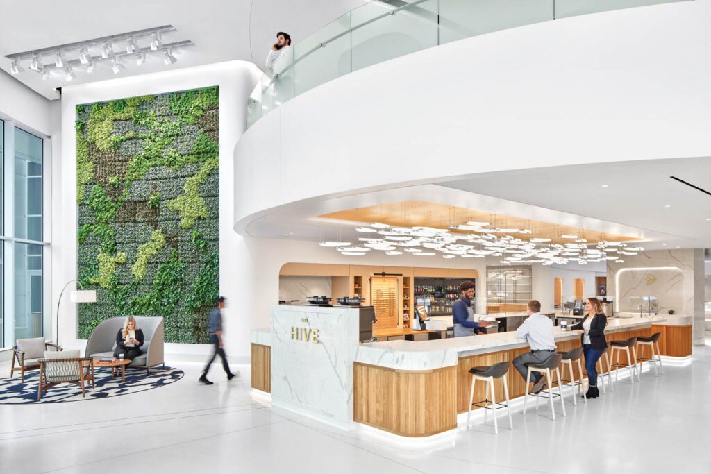 菜园和休息室旁的绿墙