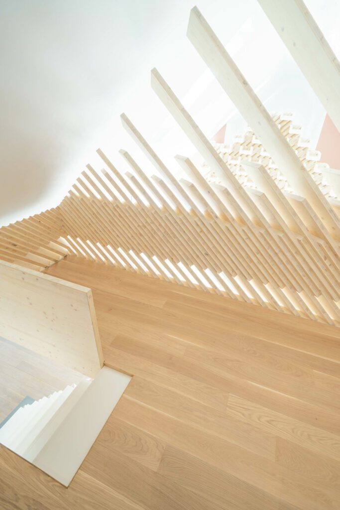 平面油处理橡树对比