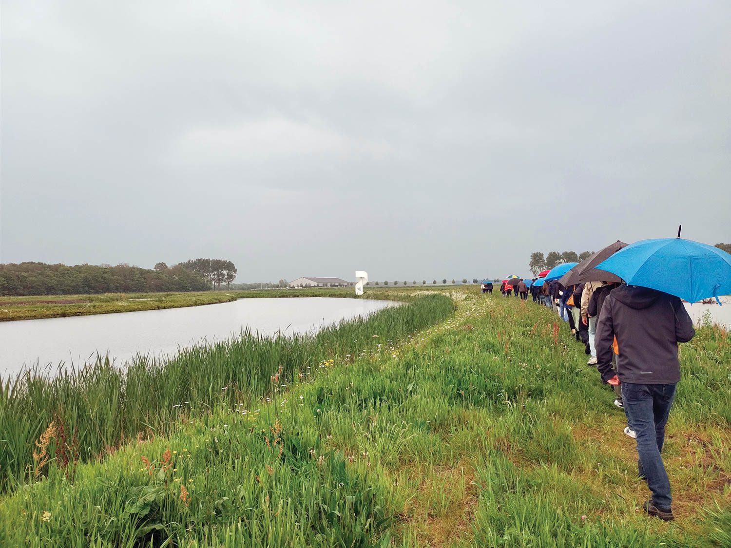 人排队向螺旋阶梯