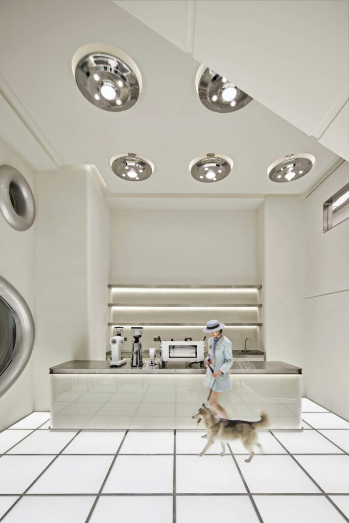 一个女人走狗穿过白瓦楼