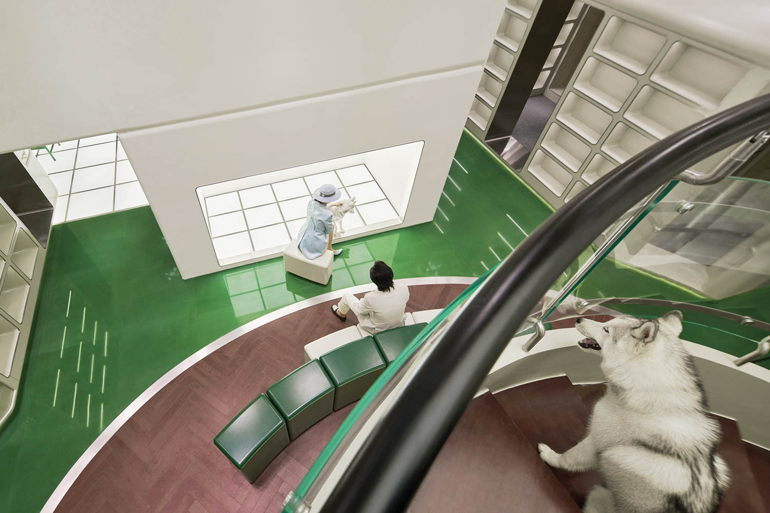 绿地板对白口音比布