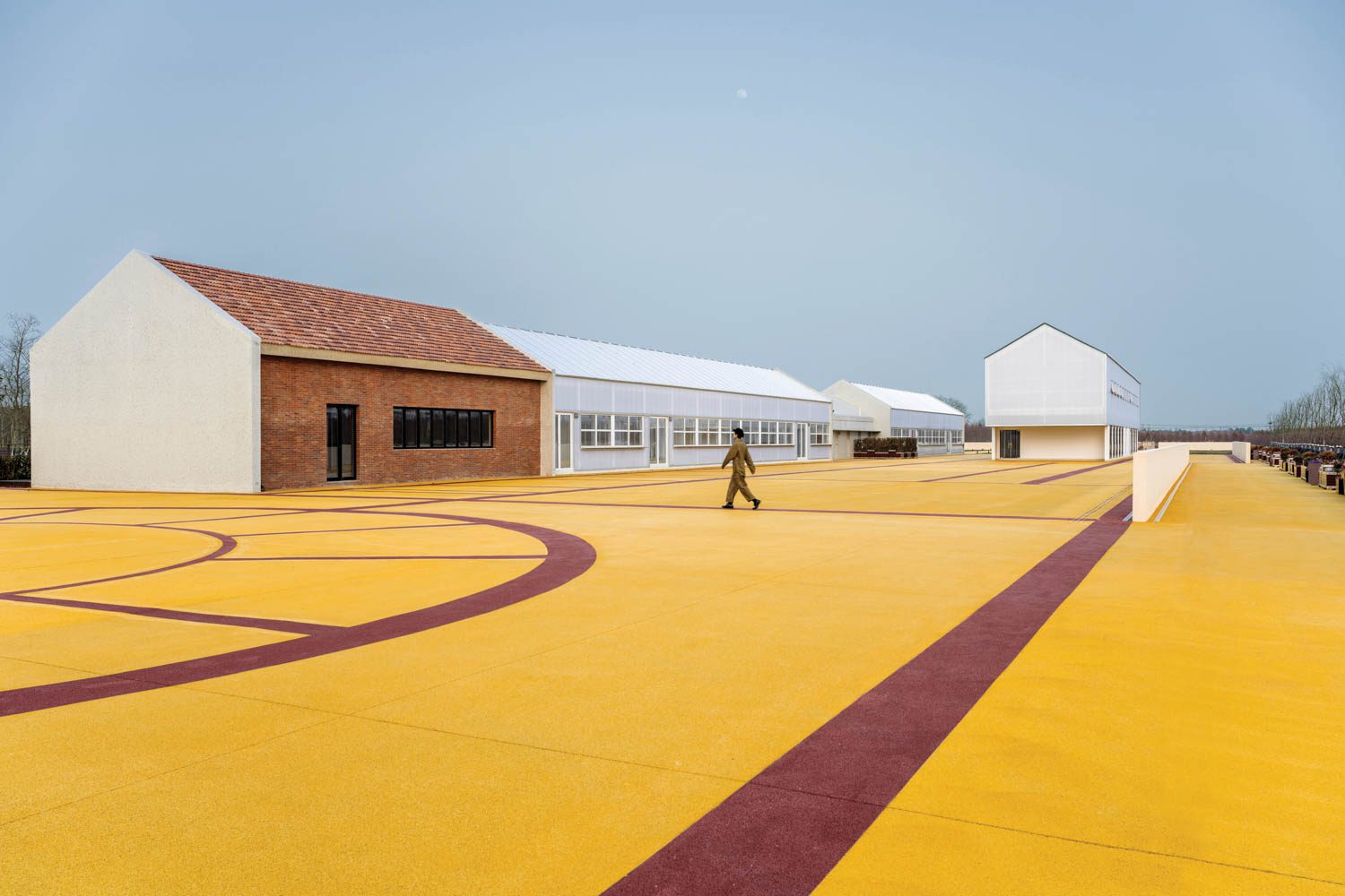 金园 工作米和强菜田 转换成外活动区