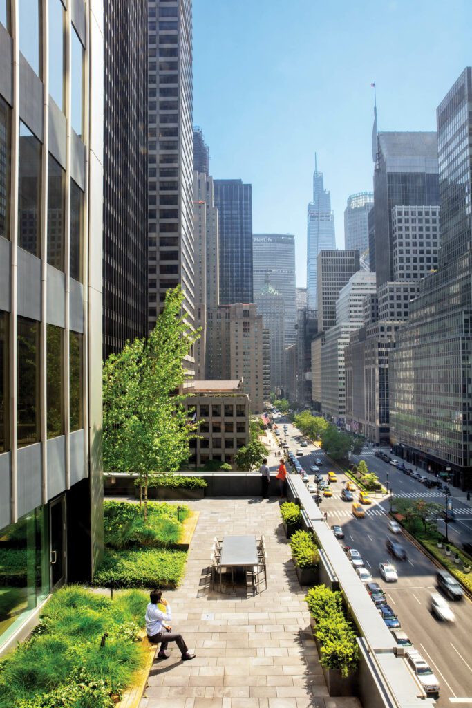 院外家具由理查舒尔茨自定义ipe长椅命名