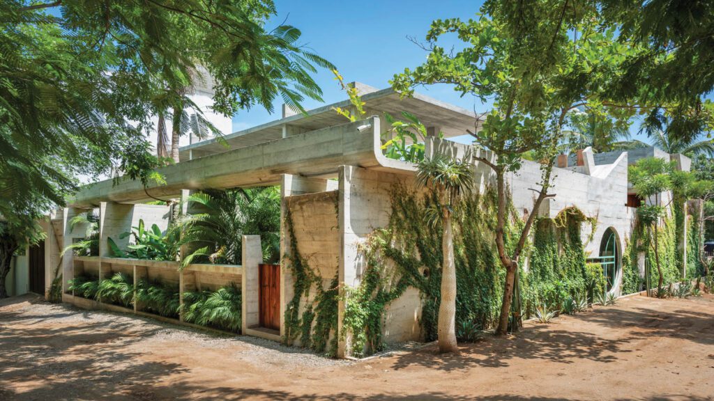 酒店隐藏混凝土原生植物