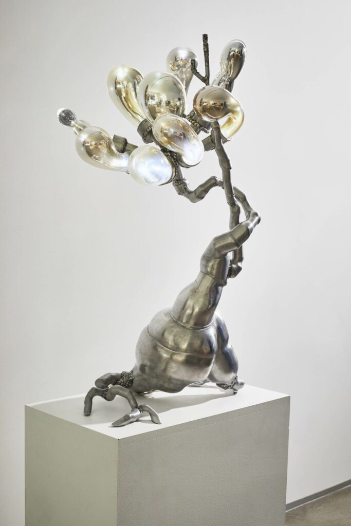 兰迪·波伦博的Sprout与Cristina Grajales美术馆