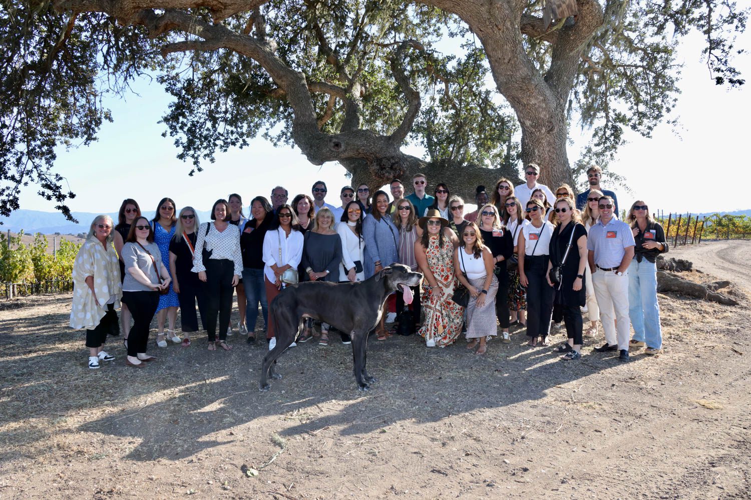 消息源提供者前往Stolpman葡萄园游酒和品味