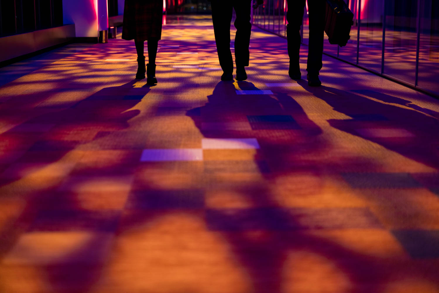 博隆红地毯设计竞赛优胜者