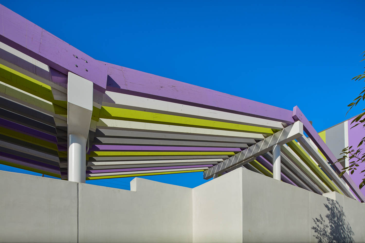 南LANAVG8紫绿树冠